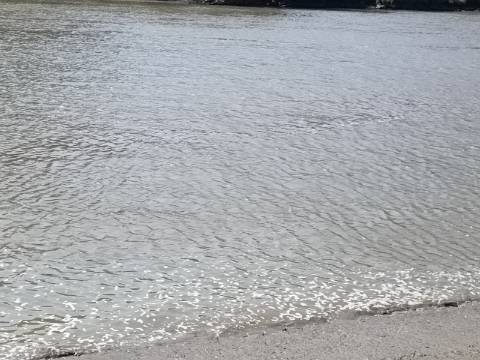 TERRENO RUSTICO COM 760 M2 JUNTO AO RIO GUADIANA - PONTAL - ALCOUTIM