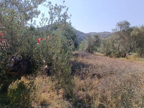 TERRENO RUSTICO COM 760 M2 JUNTO AO RIO GUADIANA - PONTAL - ALCOUTIM