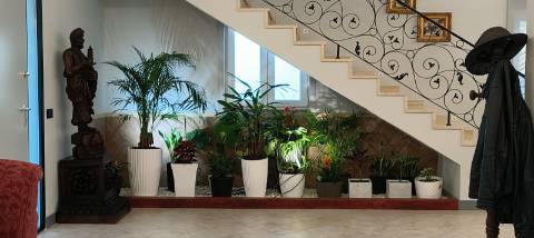 Moradia de Excelência T5 com piscina com vista campo e mar.