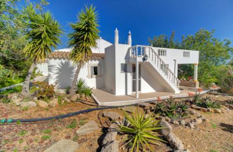 Magnífica Quinta em Santo Estêvão