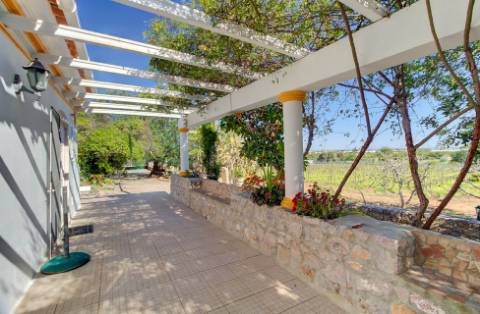 Magnífica Quinta em Santo Estêvão