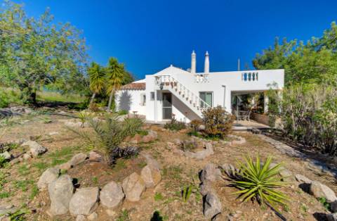 Magnífica Quinta em Santo Estêvão