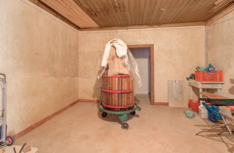 Magnífica Quinta em Santo Estêvão