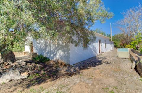 Magnífica Quinta em Santo Estêvão