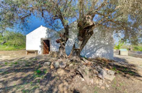 Magnífica Quinta em Santo Estêvão