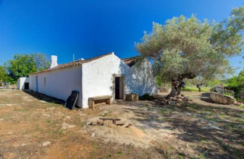 Magnífica Quinta em Santo Estêvão