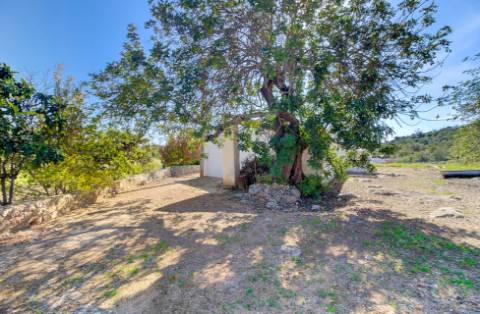 Magnífica Quinta em Santo Estêvão