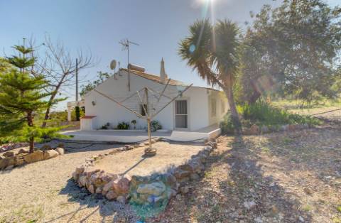 Magnífica Quinta em Santo Estêvão