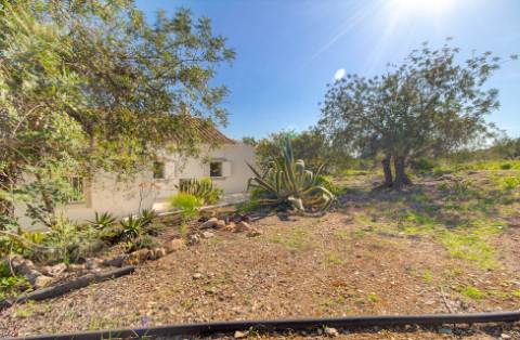 Magnífica Quinta em Santo Estêvão