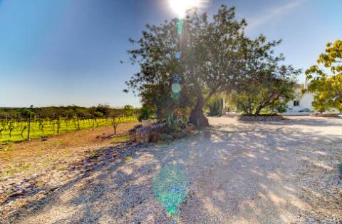 Magnífica Quinta em Santo Estêvão