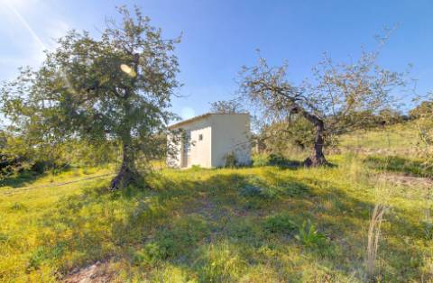 Magnífica Quinta em Santo Estêvão