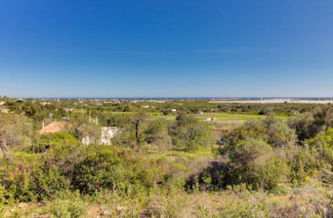 Magnífica Quinta em Santo Estêvão