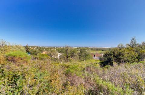 Magnífica Quinta em Santo Estêvão