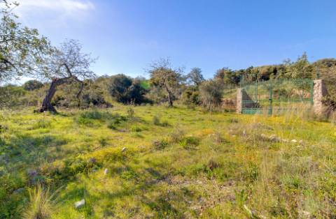 Magnífica Quinta em Santo Estêvão