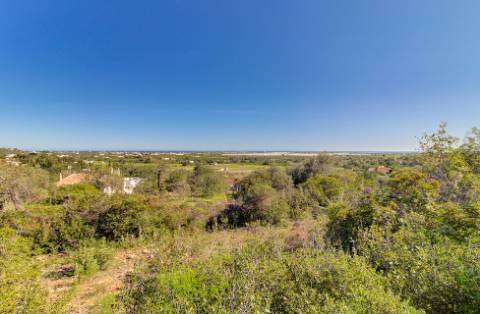 Magnífica Quinta em Santo Estêvão
