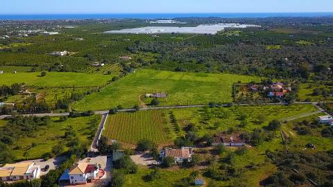 Magnífica Quinta em Santo Estêvão