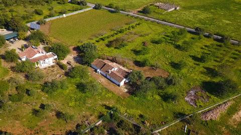 Magnífica Quinta em Santo Estêvão