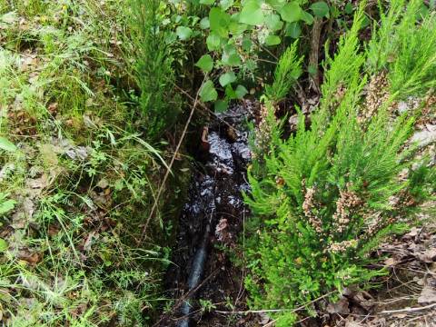 Terreno Rustico com Vinha, Floresta e Olival para venda em Castelos