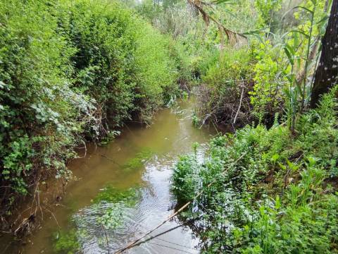 Terreno Rustico com Vinha, Floresta e Olival para venda em Castelos