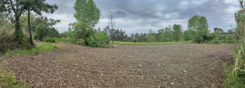 Terreno Rustico com Vinha, Floresta e Olival para venda em Castelos