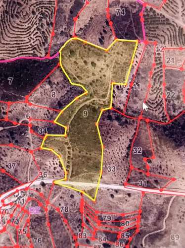 TERRENO COM 31.200 M2 - POSSIBILIDADE DE CONSTRUÇÃO DE ARMAZÉM - APOIO AGRÍCOLA - FERNÃO GIL - ODELEITE - CASTRO MARIM
