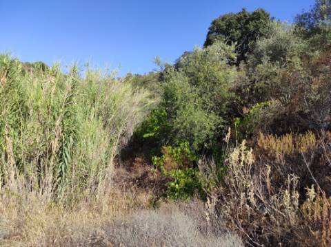 TERRENO COM 31.200 M2 - POSSIBILIDADE DE CONSTRUÇÃO DE ARMAZÉM - APOIO AGRÍCOLA - FERNÃO GIL - ODELEITE - CASTRO MARIM