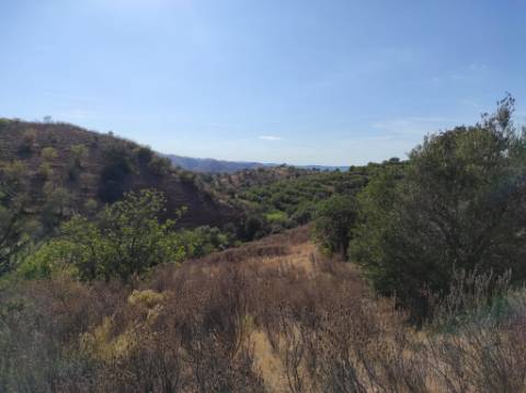 TERRENO COM 31.200 M2 - POSSIBILIDADE DE CONSTRUÇÃO DE ARMAZÉM - APOIO AGRÍCOLA - FERNÃO GIL - ODELEITE - CASTRO MARIM