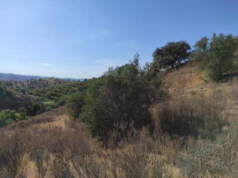 TERRENO COM 31.200 M2 - POSSIBILIDADE DE CONSTRUÇÃO DE ARMAZÉM - APOIO AGRÍCOLA - FERNÃO GIL - ODELEITE - CASTRO MARIM