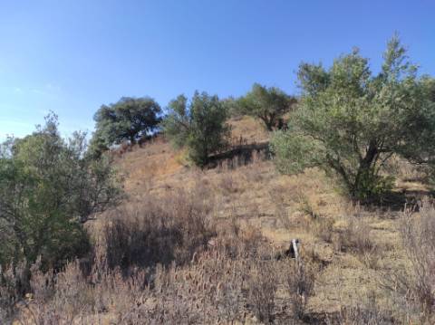 TERRENO COM 31.200 M2 - POSSIBILIDADE DE CONSTRUÇÃO DE ARMAZÉM - APOIO AGRÍCOLA - FERNÃO GIL - ODELEITE - CASTRO MARIM