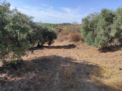 TERRENO COM 31.200 M2 - POSSIBILIDADE DE CONSTRUÇÃO DE ARMAZÉM - APOIO AGRÍCOLA - FERNÃO GIL - ODELEITE - CASTRO MARIM