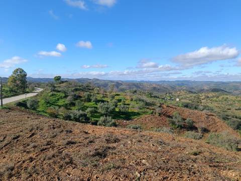 TERRENO COM 31.200 M2 - POSSIBILIDADE DE CONSTRUÇÃO DE ARMAZÉM - APOIO AGRÍCOLA - FERNÃO GIL - ODELEITE - CASTRO MARIM