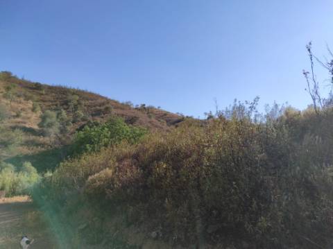 TERRENO COM 31.200 M2 - POSSIBILIDADE DE CONSTRUÇÃO DE ARMAZÉM - APOIO AGRÍCOLA - FERNÃO GIL - ODELEITE - CASTRO MARIM