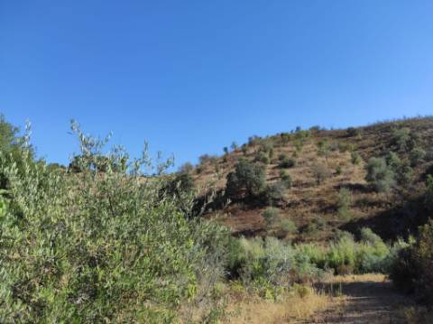 TERRENO COM 31.200 M2 - POSSIBILIDADE DE CONSTRUÇÃO DE ARMAZÉM - APOIO AGRÍCOLA - FERNÃO GIL - ODELEITE - CASTRO MARIM