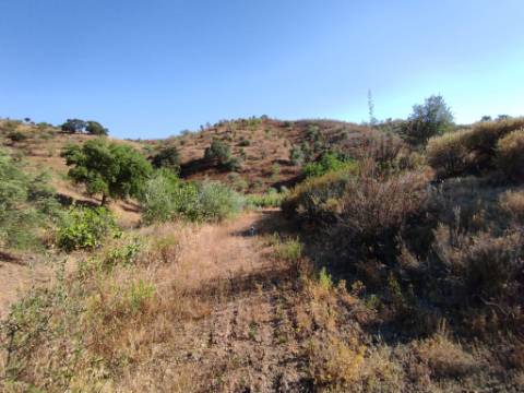 TERRENO COM 31.200 M2 - POSSIBILIDADE DE CONSTRUÇÃO DE ARMAZÉM - APOIO AGRÍCOLA - FERNÃO GIL - ODELEITE - CASTRO MARIM