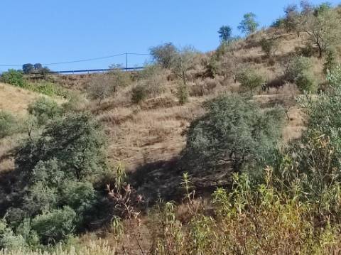 TERRENO COM 31.200 M2 - POSSIBILIDADE DE CONSTRUÇÃO DE ARMAZÉM - APOIO AGRÍCOLA - FERNÃO GIL - ODELEITE - CASTRO MARIM