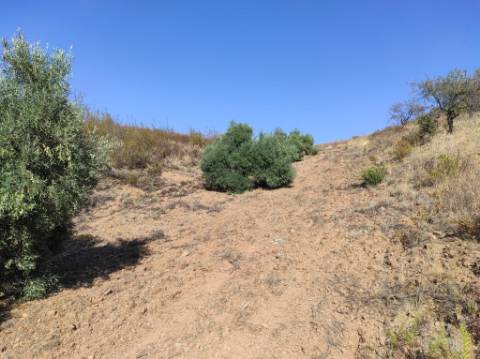 TERRENO COM 31.200 M2 - POSSIBILIDADE DE CONSTRUÇÃO DE ARMAZÉM - APOIO AGRÍCOLA - FERNÃO GIL - ODELEITE - CASTRO MARIM