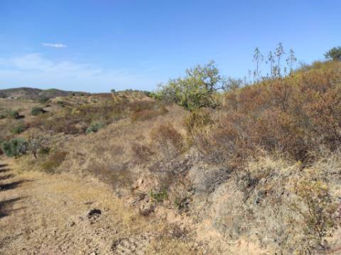 TERRENO COM 31.200 M2 - POSSIBILIDADE DE CONSTRUÇÃO DE ARMAZÉM - APOIO AGRÍCOLA - FERNÃO GIL - ODELEITE - CASTRO MARIM