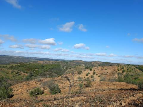 TERRENO COM 31.200 M2 - POSSIBILIDADE DE CONSTRUÇÃO DE ARMAZÉM - APOIO AGRÍCOLA - FERNÃO GIL - ODELEITE - CASTRO MARIM