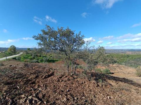 TERRENO COM 31.200 M2 - POSSIBILIDADE DE CONSTRUÇÃO DE ARMAZÉM - APOIO AGRÍCOLA - FERNÃO GIL - ODELEITE - CASTRO MARIM