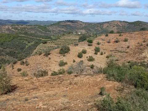 TERRENO COM 31.200 M2 - POSSIBILIDADE DE CONSTRUÇÃO DE ARMAZÉM - APOIO AGRÍCOLA - FERNÃO GIL - ODELEITE - CASTRO MARIM