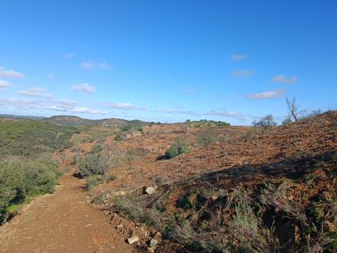 TERRENO COM 31.200 M2 - POSSIBILIDADE DE CONSTRUÇÃO DE ARMAZÉM - APOIO AGRÍCOLA - FERNÃO GIL - ODELEITE - CASTRO MARIM