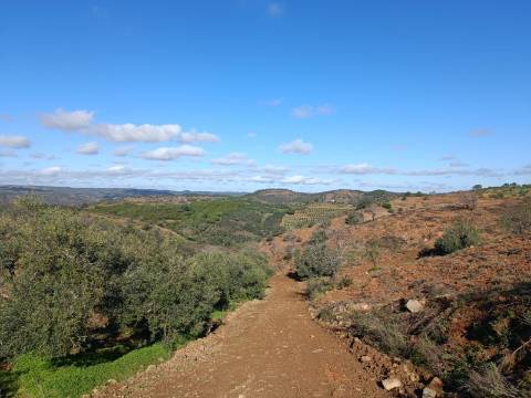 TERRENO COM 31.200 M2 - POSSIBILIDADE DE CONSTRUÇÃO DE ARMAZÉM - APOIO AGRÍCOLA - FERNÃO GIL - ODELEITE - CASTRO MARIM