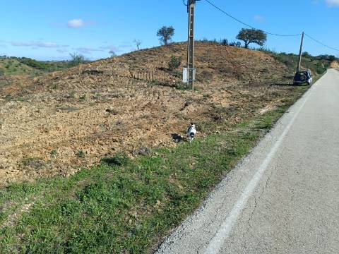 TERRENO COM 31.200 M2 - POSSIBILIDADE DE CONSTRUÇÃO DE ARMAZÉM - APOIO AGRÍCOLA - FERNÃO GIL - ODELEITE - CASTRO MARIM