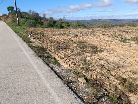 TERRENO COM 31.200 M2 - POSSIBILIDADE DE CONSTRUÇÃO DE ARMAZÉM - APOIO AGRÍCOLA - FERNÃO GIL - ODELEITE - CASTRO MARIM