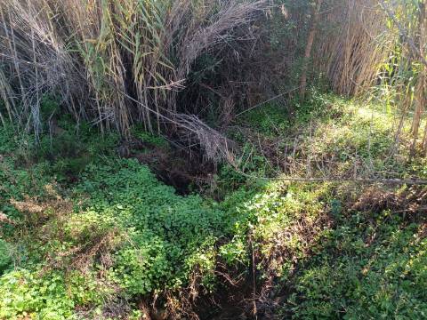 TERRENO COM 31.200 M2 - POSSIBILIDADE DE CONSTRUÇÃO DE ARMAZÉM - APOIO AGRÍCOLA - FERNÃO GIL - ODELEITE - CASTRO MARIM