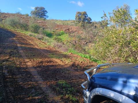 TERRENO COM 31.200 M2 - POSSIBILIDADE DE CONSTRUÇÃO DE ARMAZÉM - APOIO AGRÍCOLA - FERNÃO GIL - ODELEITE - CASTRO MARIM
