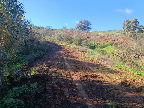 TERRENO COM 31.200 M2 - POSSIBILIDADE DE CONSTRUÇÃO DE ARMAZÉM - APOIO AGRÍCOLA - FERNÃO GIL - ODELEITE - CASTRO MARIM