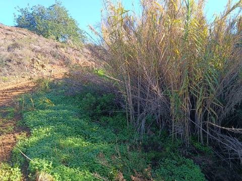 TERRENO COM 31.200 M2 - POSSIBILIDADE DE CONSTRUÇÃO DE ARMAZÉM - APOIO AGRÍCOLA - FERNÃO GIL - ODELEITE - CASTRO MARIM