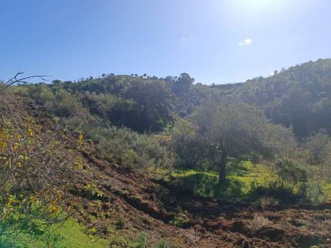 TERRENO COM 31.200 M2 - POSSIBILIDADE DE CONSTRUÇÃO DE ARMAZÉM - APOIO AGRÍCOLA - FERNÃO GIL - ODELEITE - CASTRO MARIM