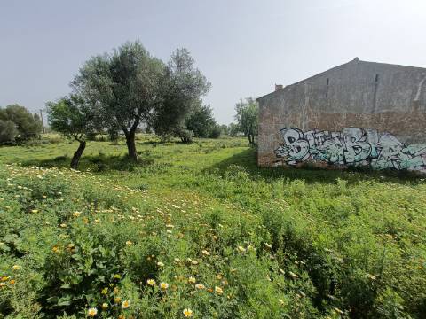 Terreno para construção de moradia com Vista Mar.